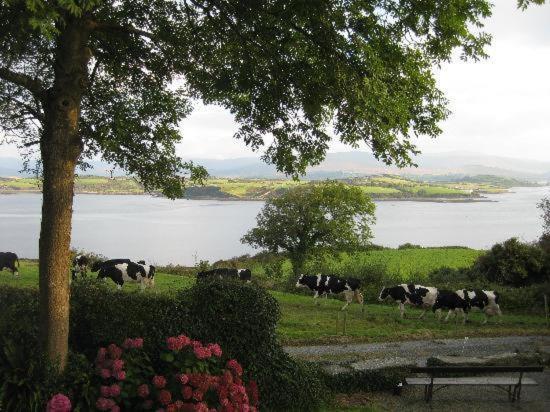 Bed and Breakfast Dromcloc House Bantry Exterior foto